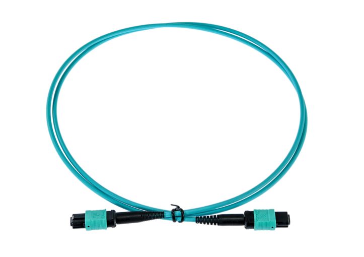 Opton Patch OM3 MPO-MPO 12F TypeB 0.5m