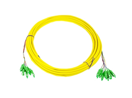 Opton MultiPatch 24x SC/APC SM-D 10m