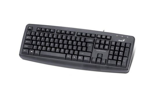 Standard Tipkovnica Black Slo USB