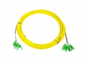 Opton MultiPatch 12x SC/APC SM-D 10m